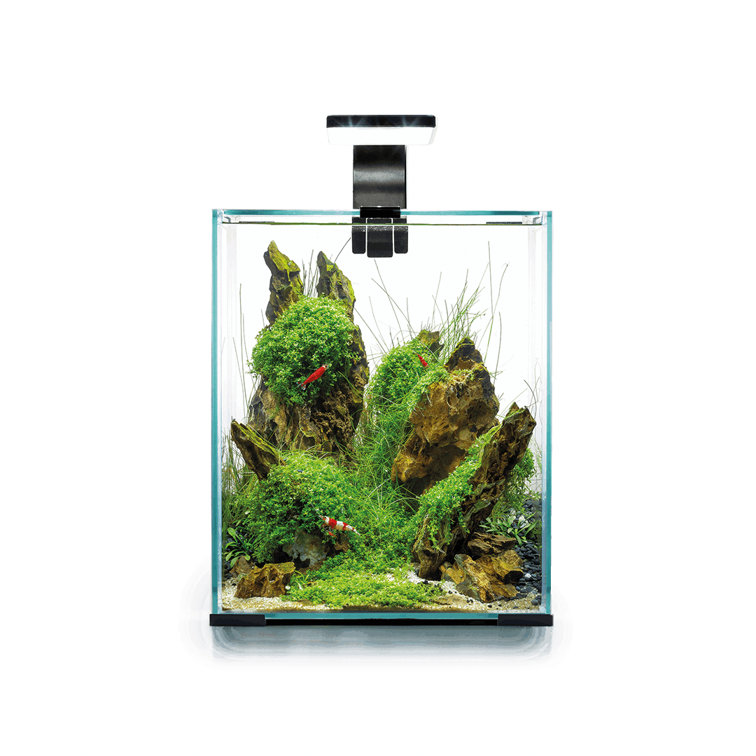 Aquael Shrimp Set 30 Karides Akvaryumu (black)