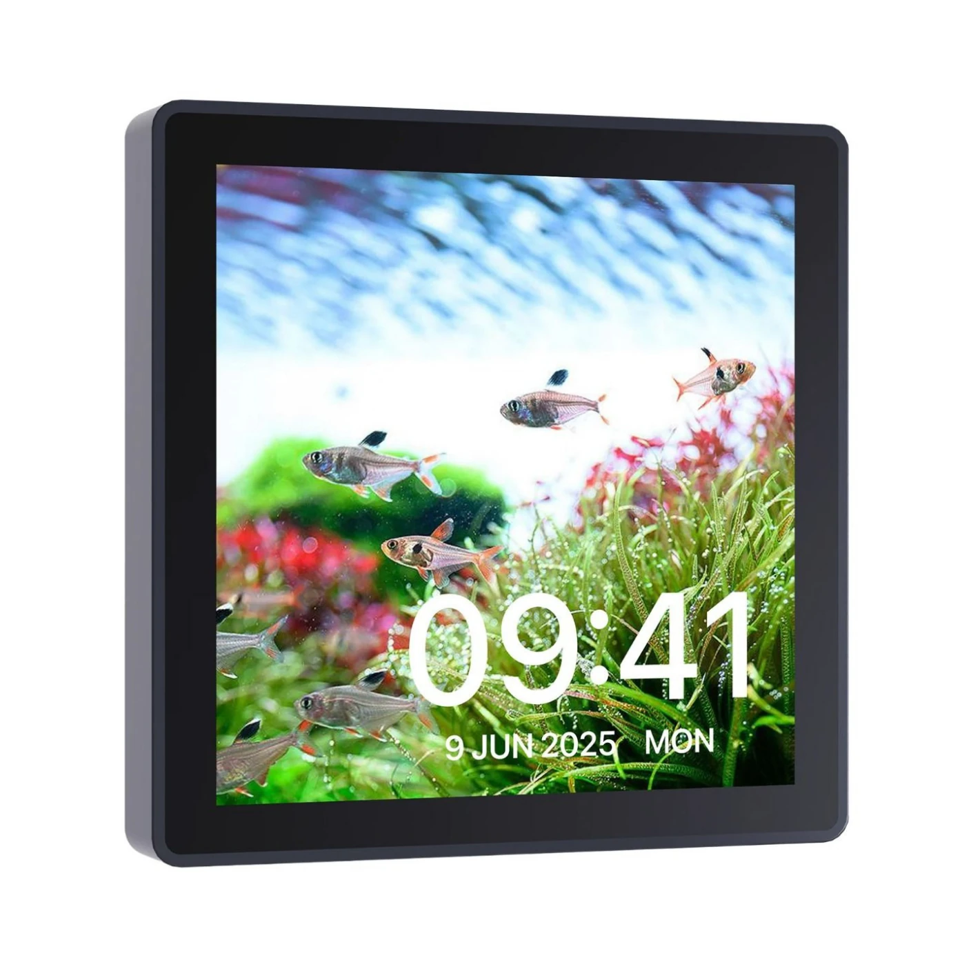 Chihiros Wifi Hub Pro