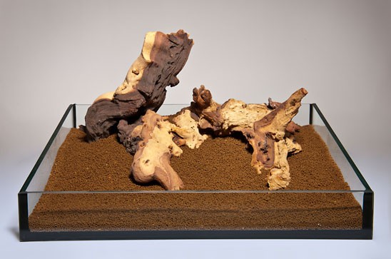 AQUADECO Mopani Wood M