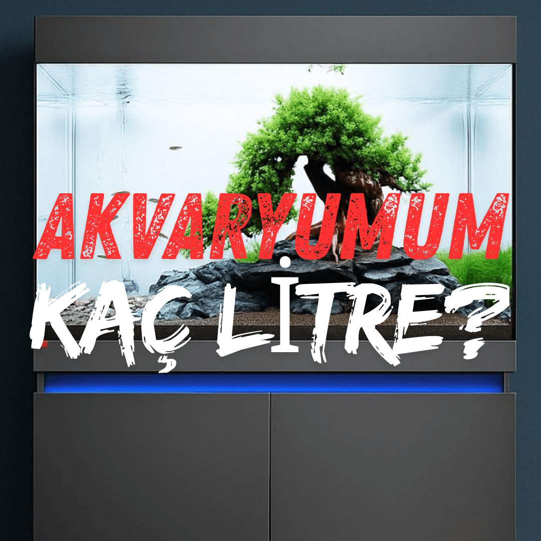 Akvaryumum Kaç Litre?: Yeni Başlayanlar İçin Litre Hesaplama ve Rehber