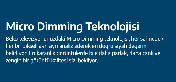 Beko B55 E 795 B 4K UHD Google TV