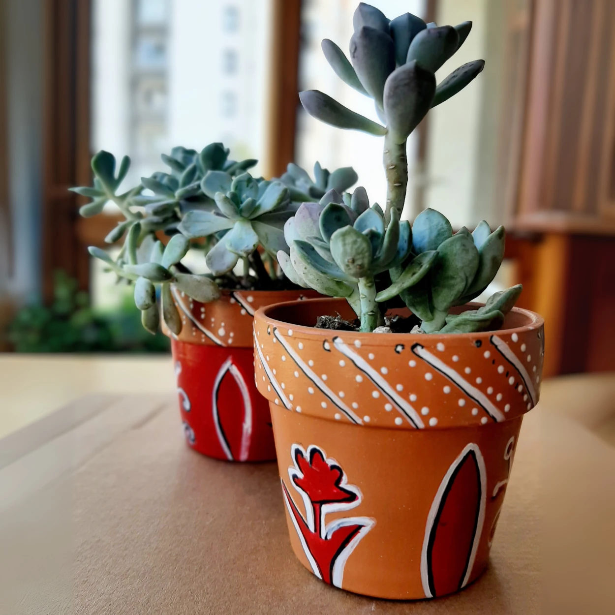 Yaprak Desenli Saksı ve Sukulent - 2'li Set