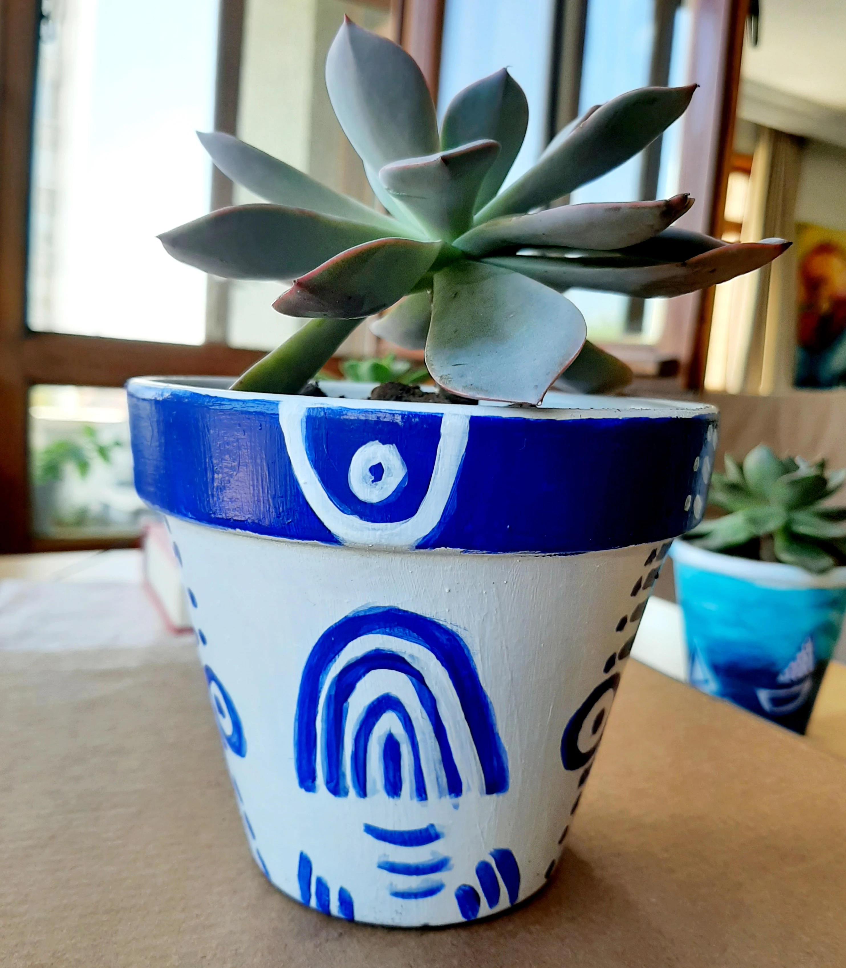 Beyaz Tribal Saksı ve Sukulent