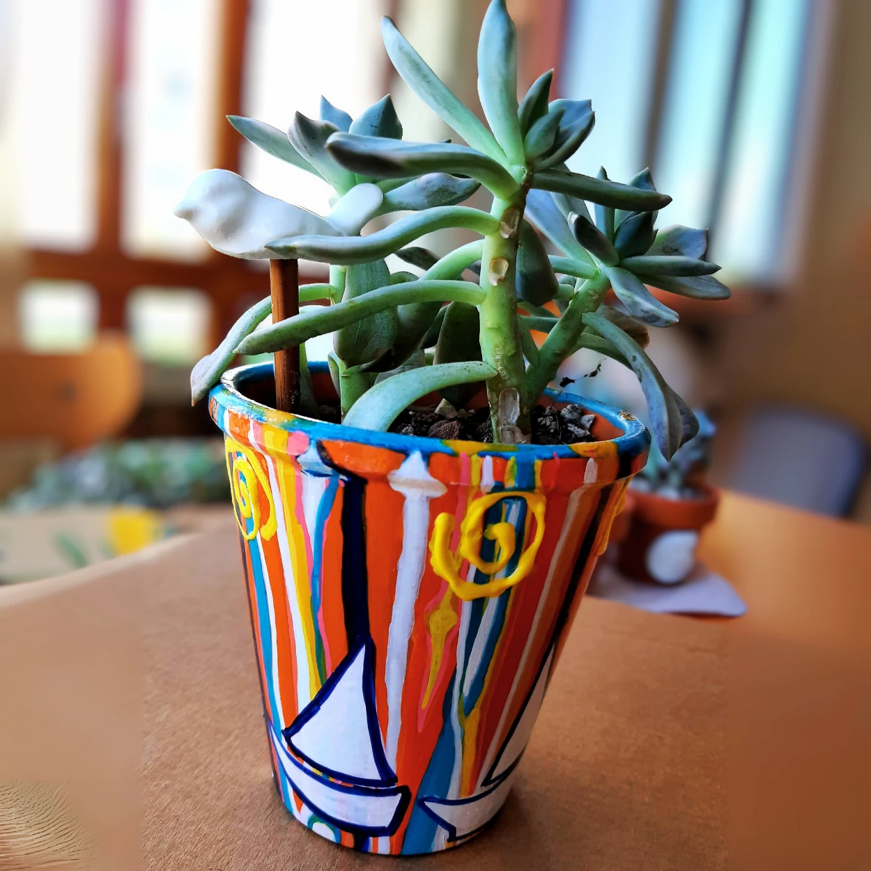 Yelken Hayali Saksı ve Sukulent