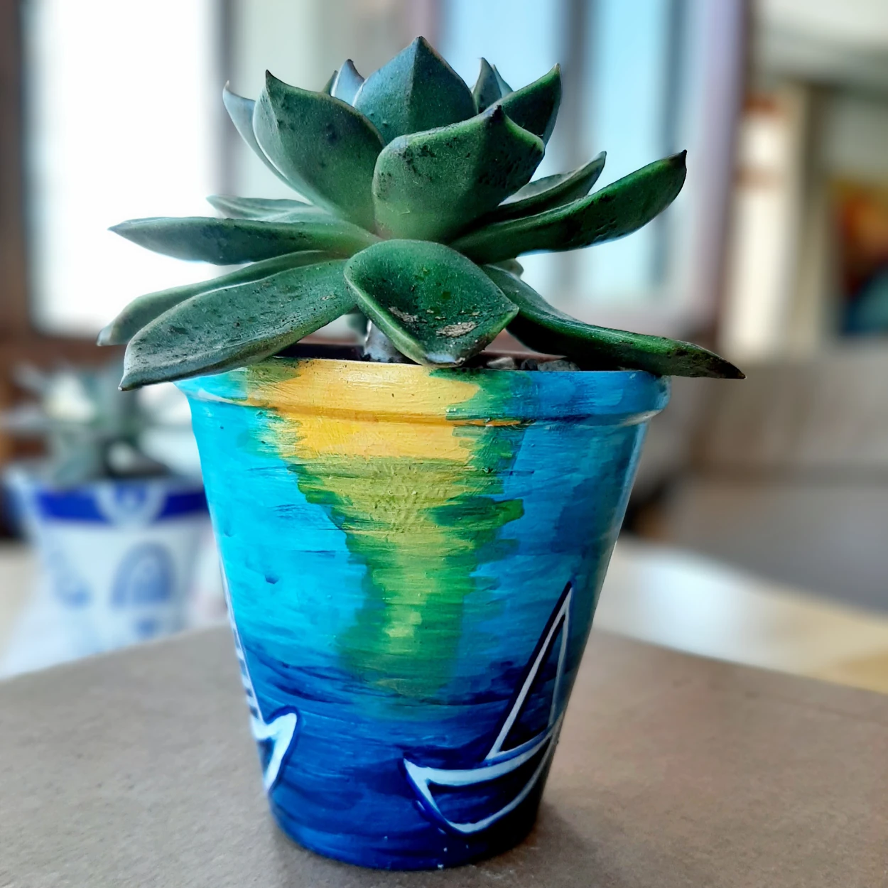 Yelkenli Saksı ve Sukulent