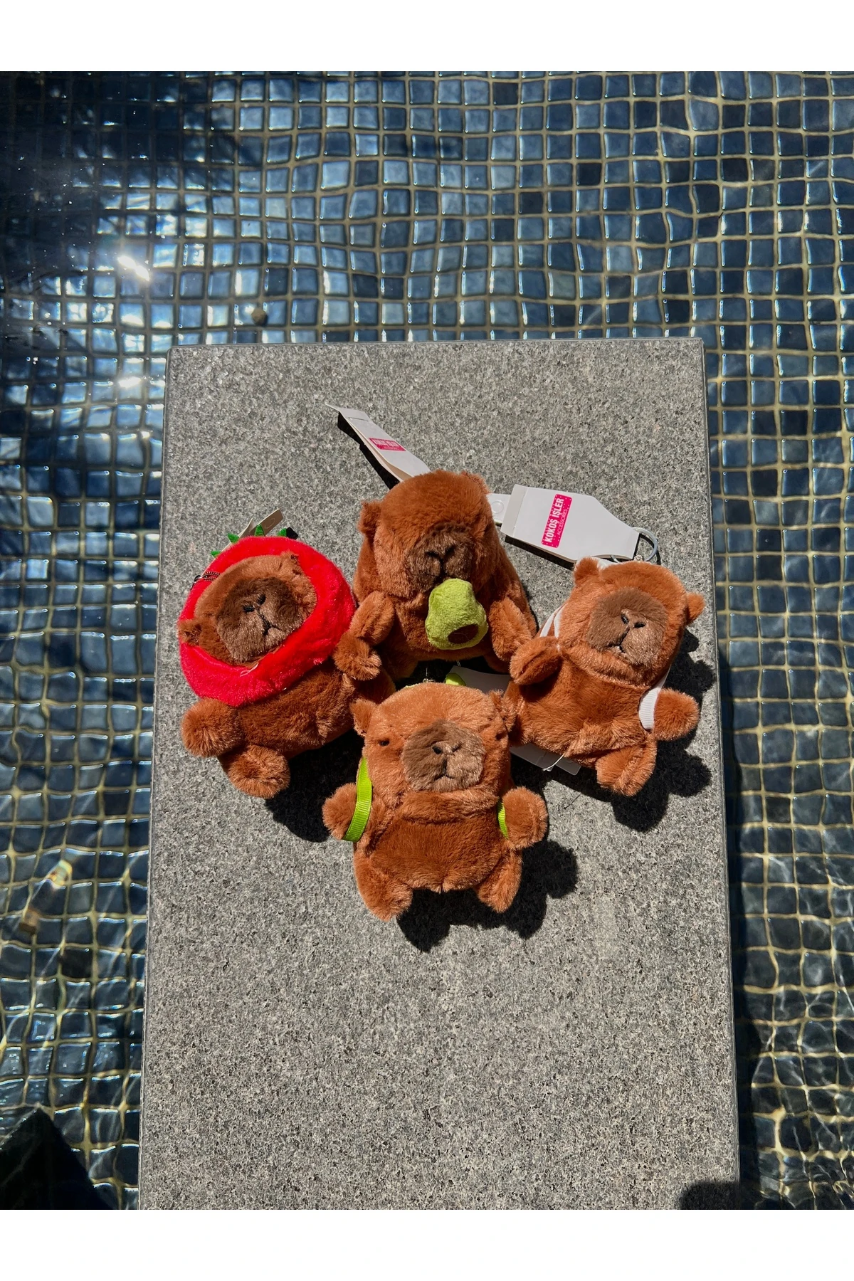 Capy Bara peluş oyuncak ve anahtarlık 4 model