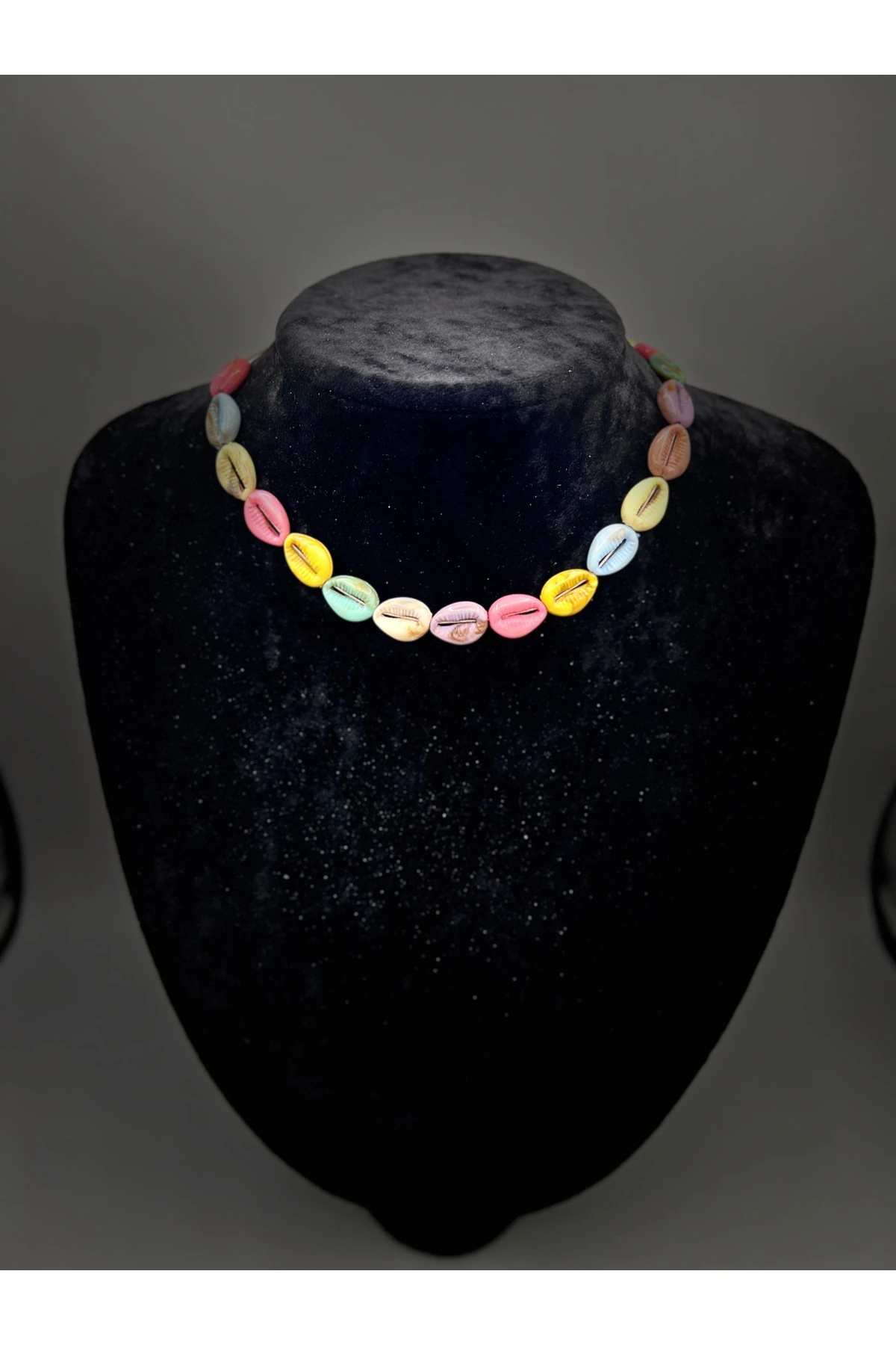 Renkli deniz kabuğu kolye