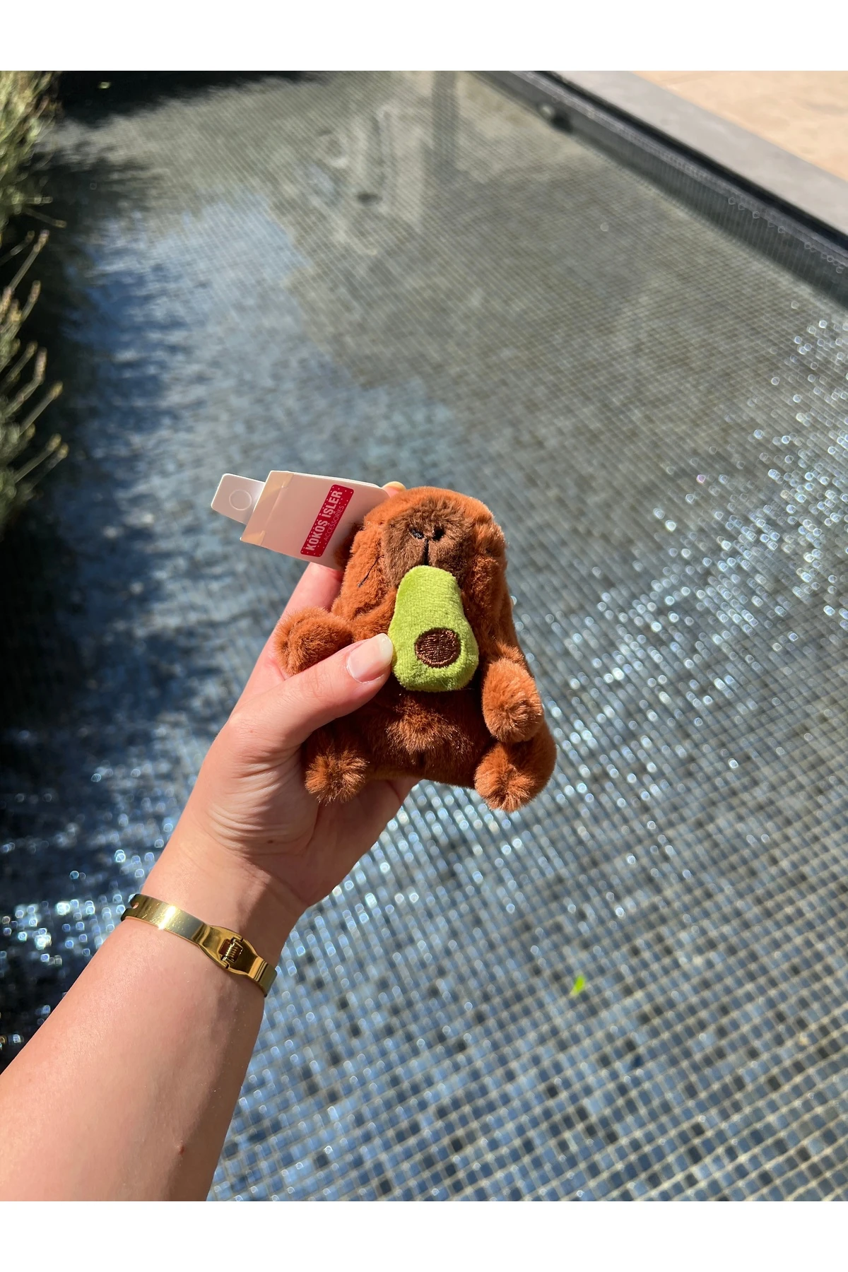 Capy Bara peluş oyuncak ve anahtarlık 4 model