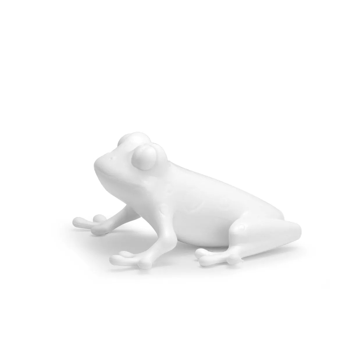 Frog - White