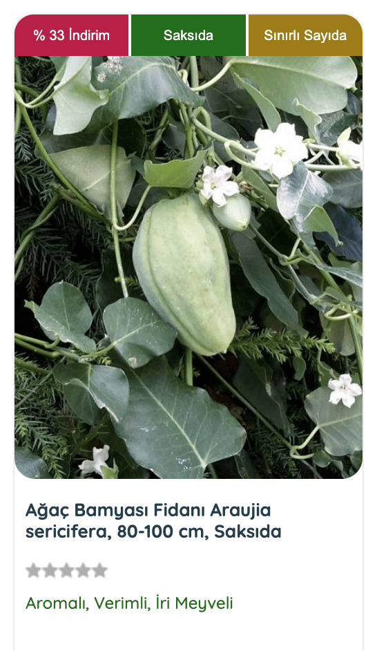 Moringa Oleifera (Ağaç Bamyası) ağacının yeşil yaprakları ve uzun tohum kabukları, sağlık için önemli besin maddelerini barındırır. Hızlı büyümesi ve fakir topraklarda bile yetişmesiyle dikkat çeken bu ağaç, doğal bir sağlık kaynağıdır.