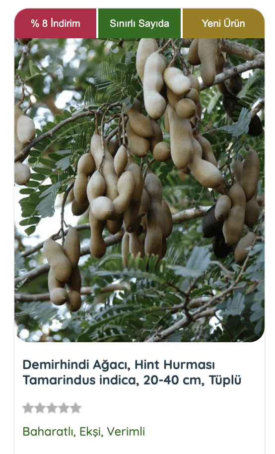 Tropiklerin lezzeti, bahçenizde! Hint hurması meyvesinin besleyici ve sağlıklı özellikleri hakkında daha fazla bilgi almak için blog yazımızı okuyun.