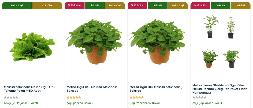 Oğul Otu Bitkisi, kuraklık koşullarında dahi aromatik yapısını koruyabilen bir bitkidir.