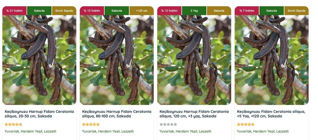 Keçiboynuzu fidanı (Ceratonia siliqua), kuraklığa dayanıklı yapısı ve tatlımsı meyveleriyle dikkat çeken bir ağaç türüdür.