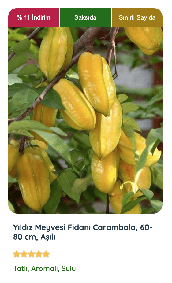 Yıldız Meyvesi Fidanı (Averrhoa Carambola), tropikal iklimlere özgü bir bitki olup, altın sarısı meyveleri ve yıldız şeklindeki kesitleriyle dikkat çeken bir görünüme sahiptir.