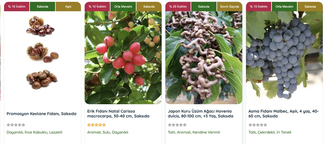 Dikim sonrasında, fidanların toprakla iyi temasını sağlamak ve sağlıklı büyümelerini desteklemek için doğru sulama ve uygulama yöntemleri uygulanmalıdır.