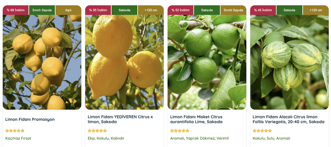Limon fidanı dikimi için en uygun zamanı öğrenmek ister misiniz? Adım adım kılavuzumuzla doğru zamanı belirleyin.