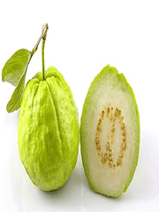 İçi
