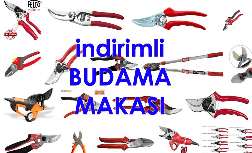 Bahçe bakımında kullanılan yüksek kaliteli ve ergonomik budama makası, hassas kesimler için ideal bir tercihtir.