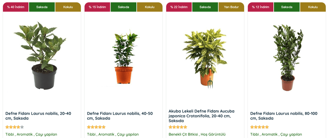 Defne Bitkisi, hem tıbbi hem aromatik özellikleriyle bahçe bitkisi olarak popülerdir.