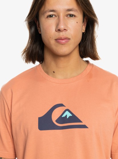 Quiksilver Comp Logo Ss Erkek Siyah Tişört EQYZT07658