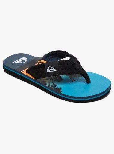 Quiksilver Molokai Word Block Unisex  Flip-Flops Çocuk ve Kadın Terlik Mavi   AQBL100425