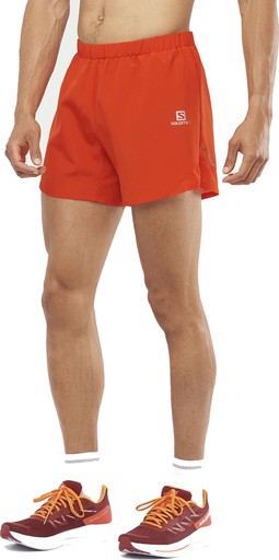 Salomon Cross Rebel 5 Shorts M Erkek Spor Şort LC11832