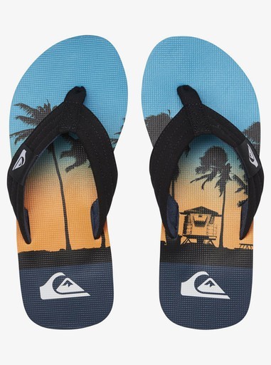 Quiksilver Molokai Word Block Unisex  Flip-Flops Çocuk ve Kadın Terlik Mavi   AQBL100425