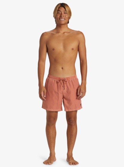  Quiksilver Everyday Surfwash Volley 15 Erkek Şort  Mayo AQYJV03158