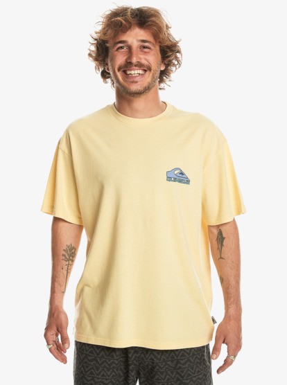 Quiksilver Take Us Back  Logo Oversize Erkek Tişört EQYZT07654