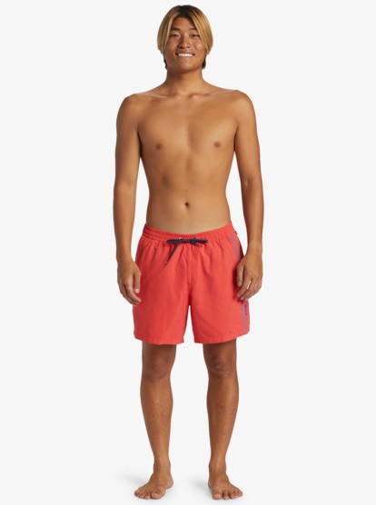 Quiksilver Everyday Vert Volley 16 Erkek Şort Mayo AQYJV03139