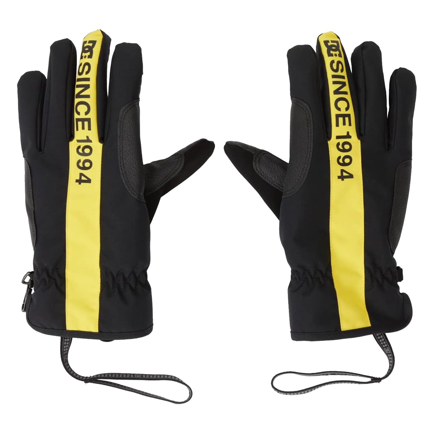 DC Salute Erkek Kayak/Snowboard Eldiveni  Siyah ADYHN03032