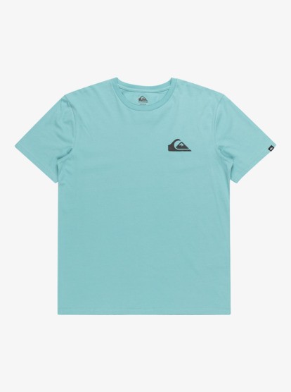 Quiksilver Mw Mini Logo Erkek Tişört EQYZT07657