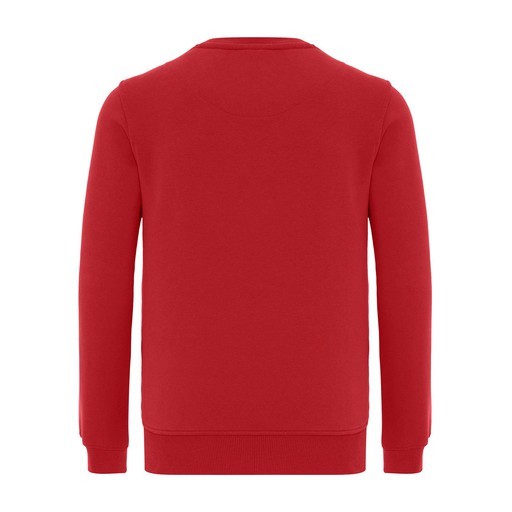 Routefield Holm Erkek Sweatshirt Bordo RFHOLM2223