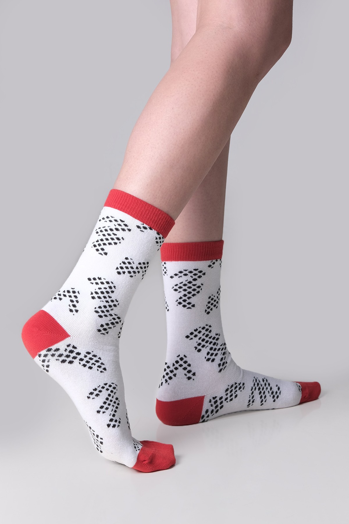 The Socks Company Ritim Desenli Kadin Çorap 22KDCR264K