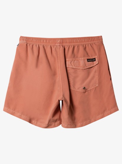  Quiksilver Everyday Surfwash Volley 15 Erkek Şort  Mayo AQYJV03158