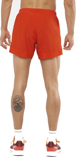 Salomon Cross Rebel 5 Shorts M Erkek Spor Şort LC11832