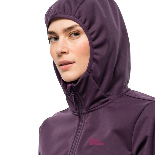 Jack Wolfskin Windhain Hoody Kadın Softshell Ceket Mor 1307481-2042