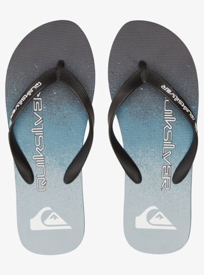 Quiksilver Molokai Art 2 Erkek Parmak Arası Terlik AQYL101360