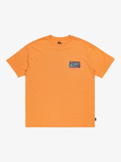 Quiksilver Spin Cycle Erkek Oversize Tişört EQYZT07653