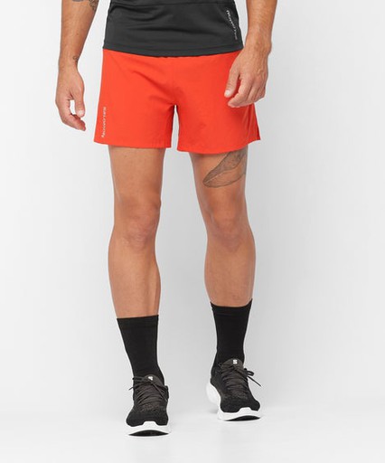 Salomon Cross 5 Short M Erkek Spor Şort LC11689