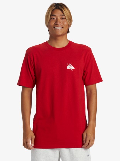 Quiksilver QS Petroglyph DNA Erkek Tişört AQYZT09604