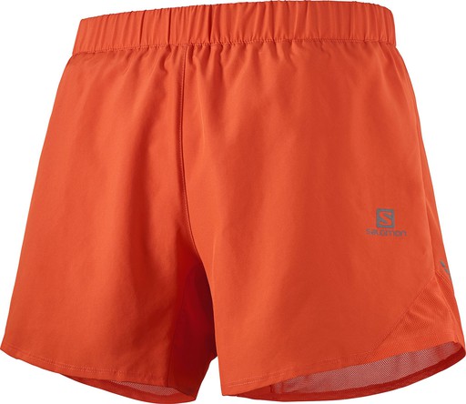 Salomon Cross Rebel 5 Shorts M Erkek Spor Şort LC11832