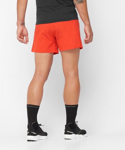Salomon Cross 5 Short M Erkek Spor Şort LC11689