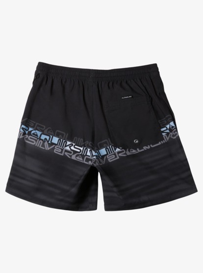 Quiksilver Everyday Wordblock Volley 17 Erkek Deniz Şortu AQYJV03150