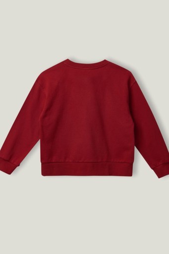 Benetton Çocuk Sweatshirt BNT-G203 T