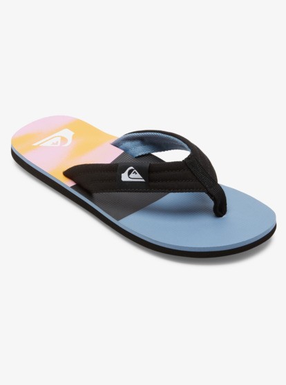 Quiksilver Molokai Layback II Erkek Parmak Arası Terlik AQYL101339