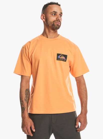 Quiksilver Back Flash Ss Erkek Tişört EQYZT07605