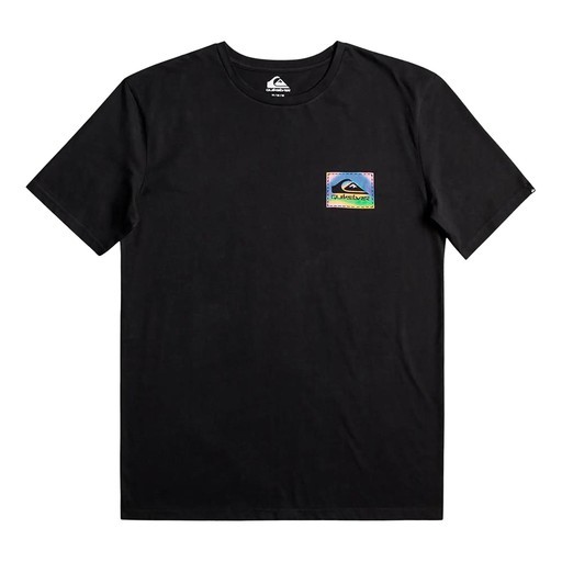 Quiksilver Colour Flow M Tees Erkek Tişört EQYZT07229