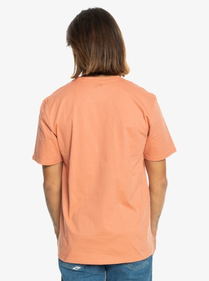 Quiksilver Comp Logo Ss Erkek Siyah Tişört EQYZT07658