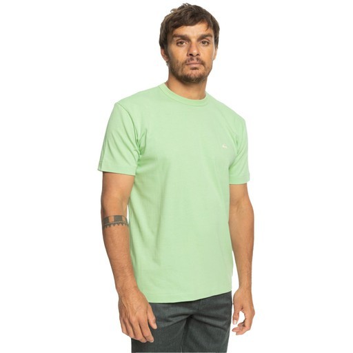 Quiksilver Essentials SS Organik Erkek Tişört Yeşil EQYKT04092